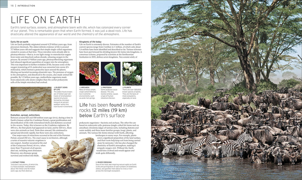 Natural Wonders of the World (DK Wonders of the World) [Hardcover] DK; Packham, Chris and Smithsonian Institution