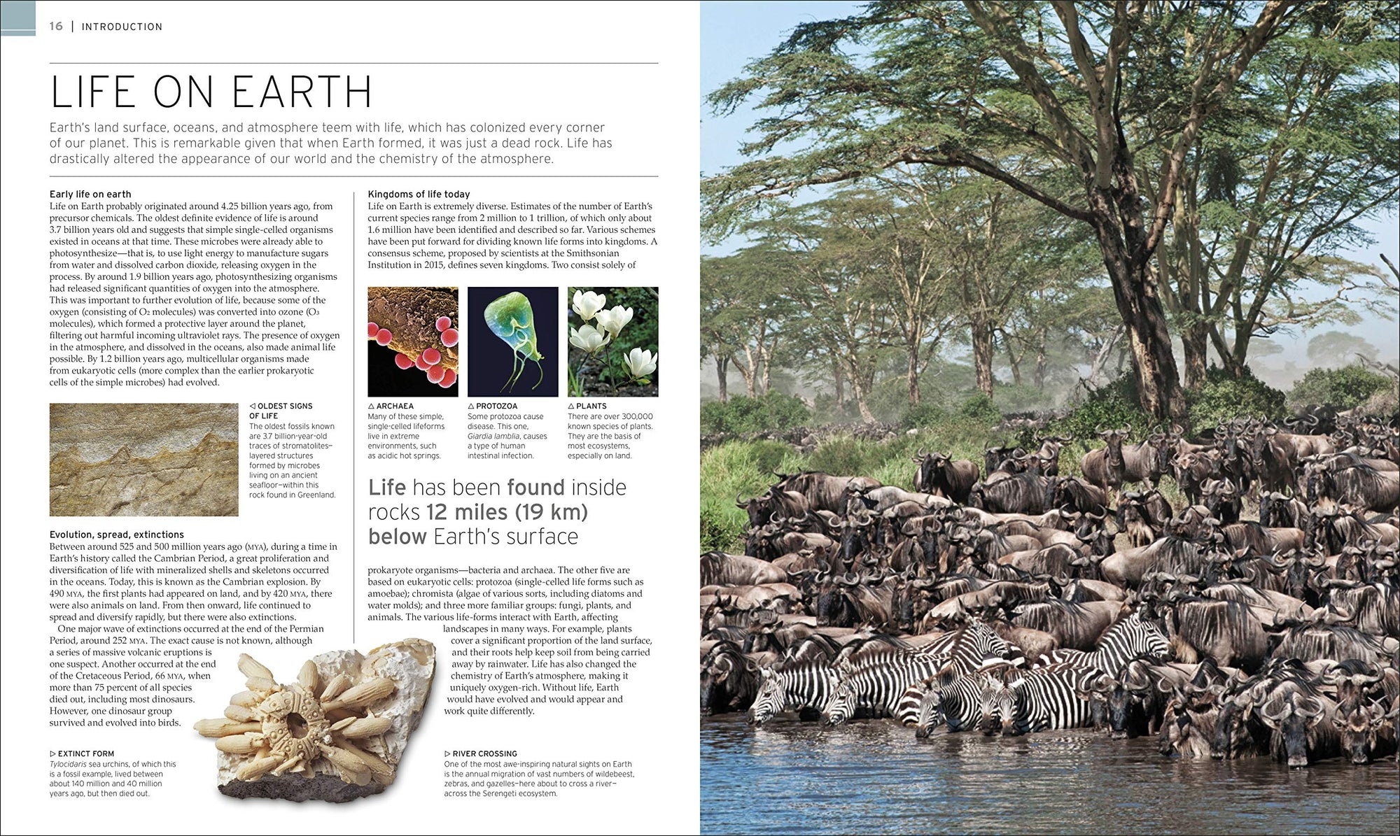 Natural Wonders of the World (DK Wonders of the World) [Hardcover] DK; Packham, Chris and Smithsonian Institution