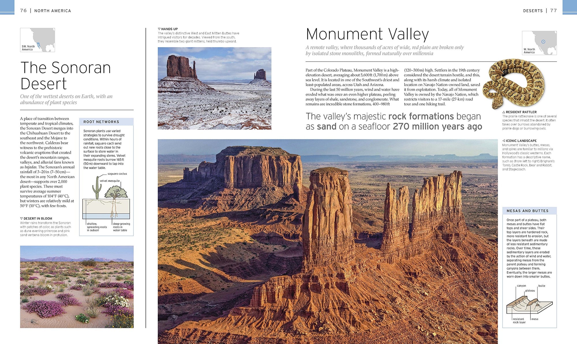 Natural Wonders of the World (DK Wonders of the World) [Hardcover] DK; Packham, Chris and Smithsonian Institution