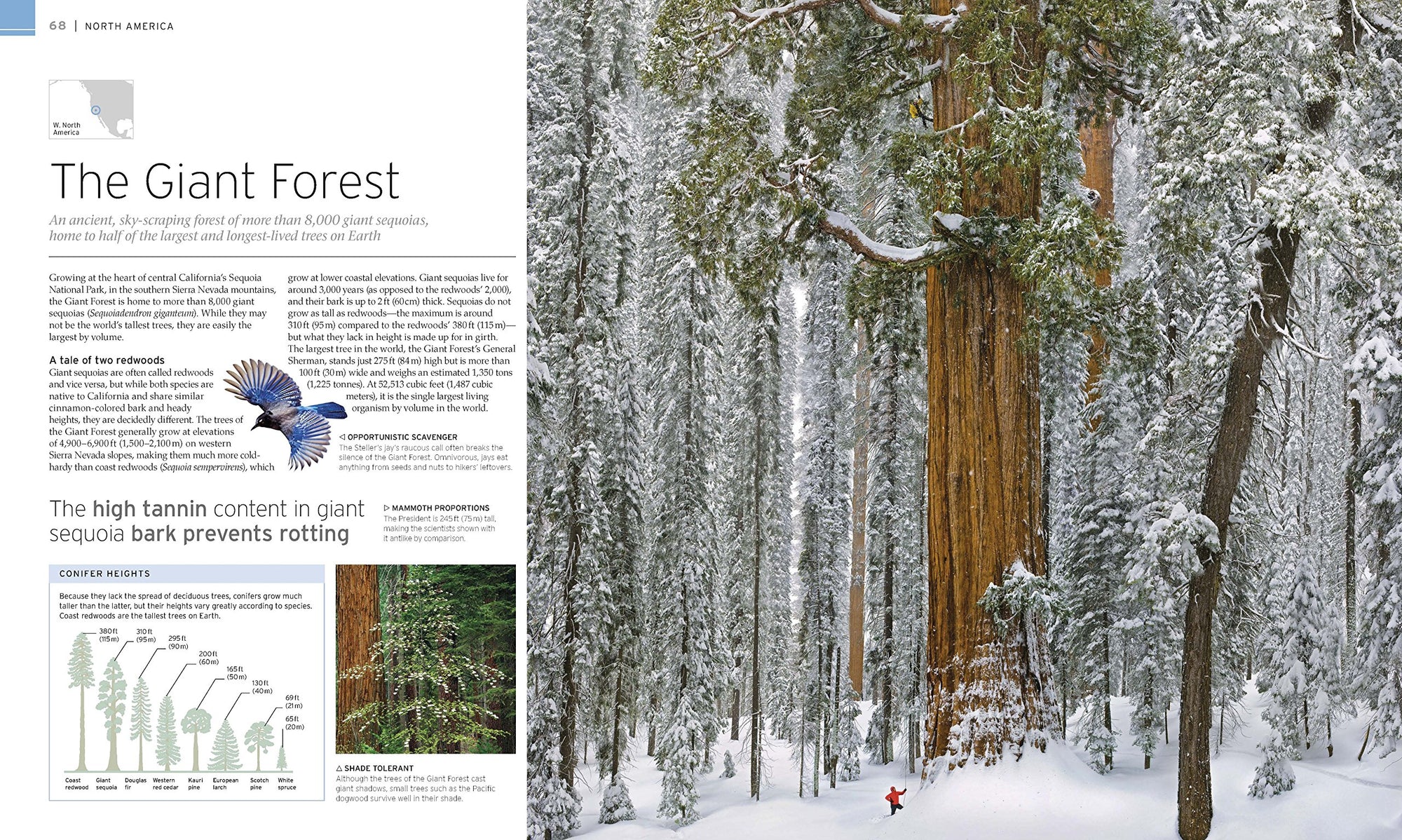 Natural Wonders of the World (DK Wonders of the World) [Hardcover] DK; Packham, Chris and Smithsonian Institution