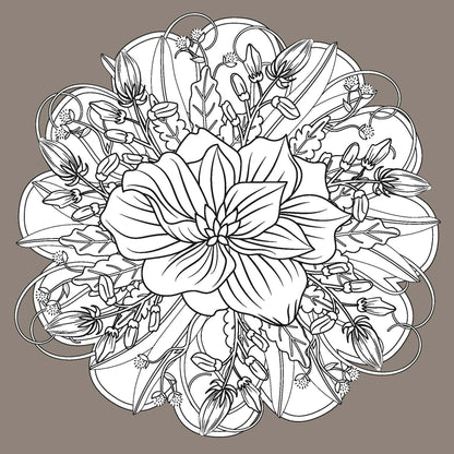 Intricate black and white floral mandala design from EveryMailBox adult flower coloring book