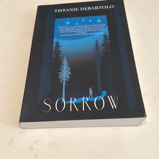 Sorrow Tiffanie DeBartolo novel with dark blue cover featuring trees and a person walking on a path